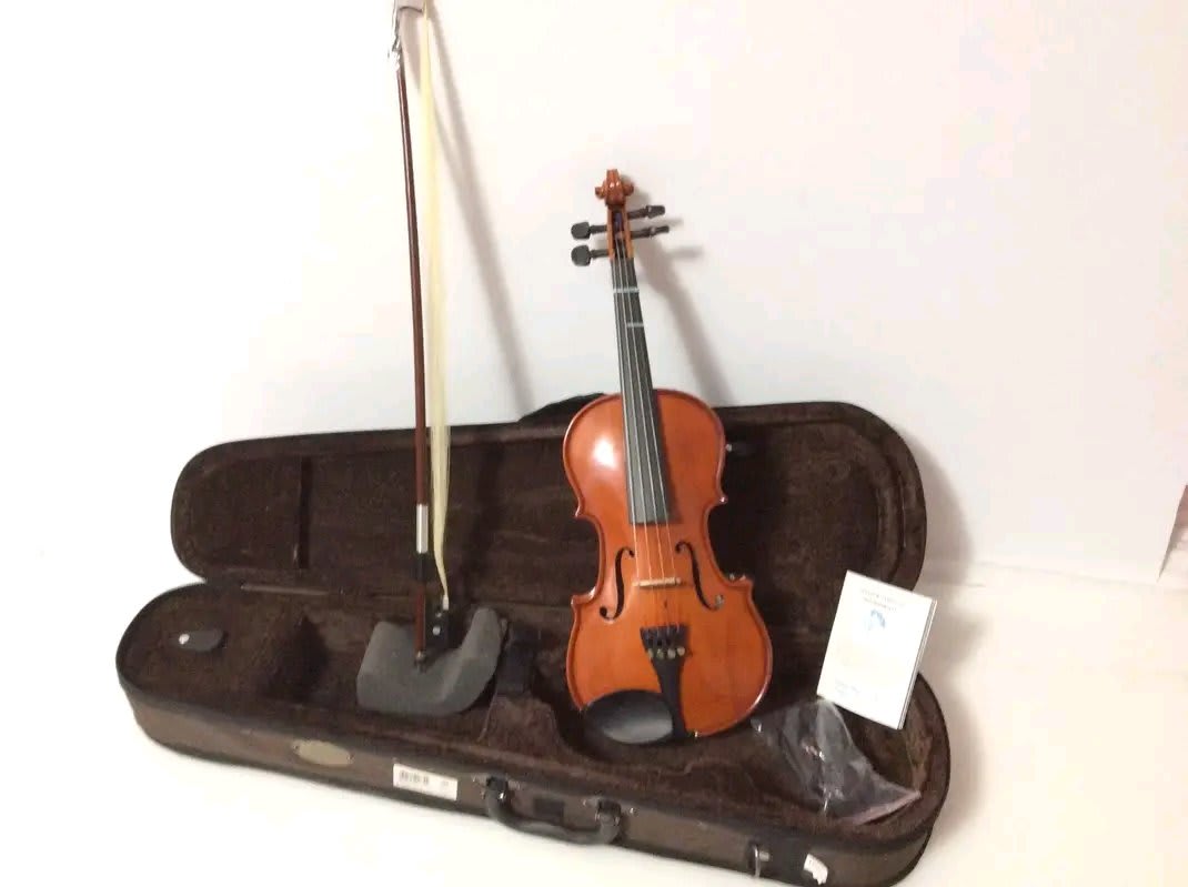 Stentor Standard Violin Outfit