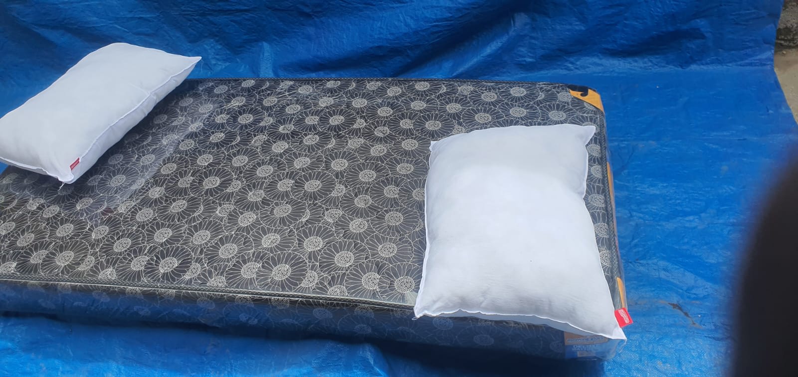 Morning Glory Mattress 3×6 Quilted 6 Inch + 2 Free Pillows