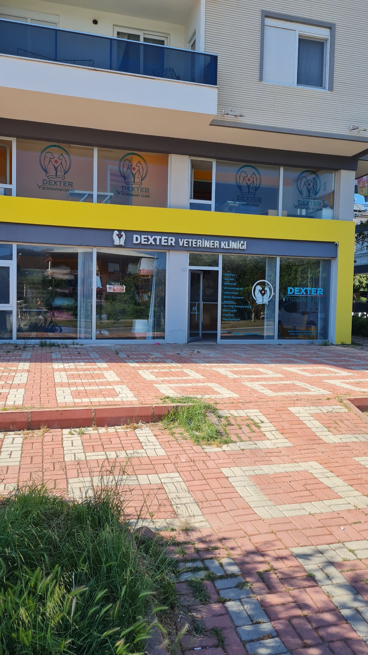 DEXTER VETERİNER KLİNİĞİ — Shops in Gazipasha