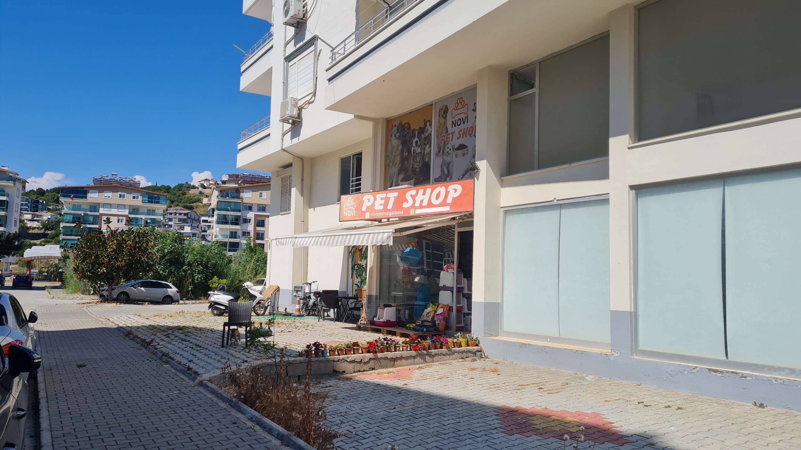 Novi pet Shop — Shops in Gazipasha