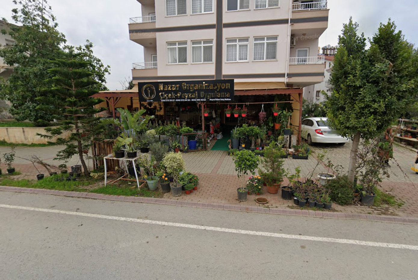 Nazar Cicekcilik — Shops in Gazipasha