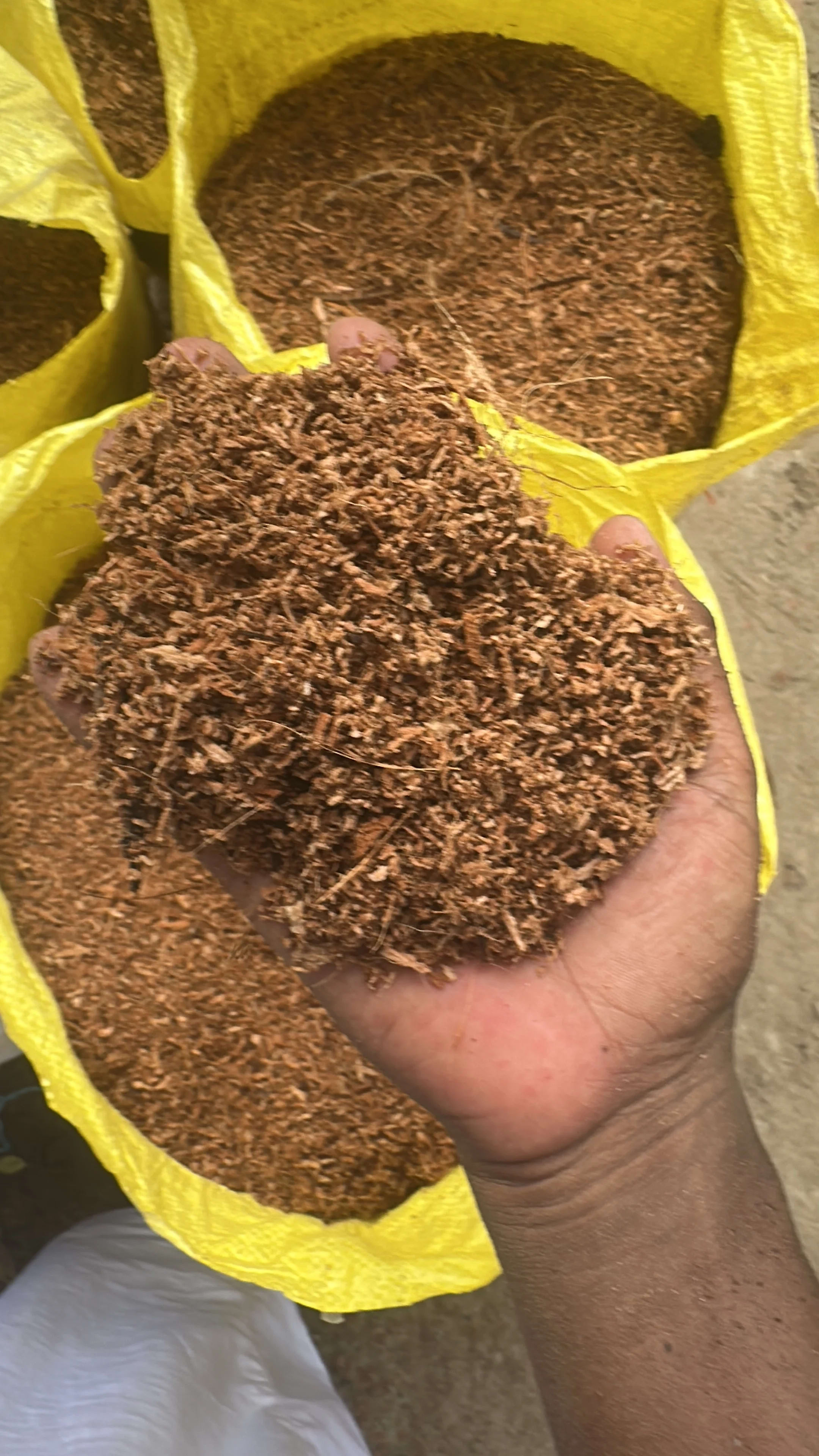 Premium Dry Cocopeat - কোকোপিট শুকনো বস্তা