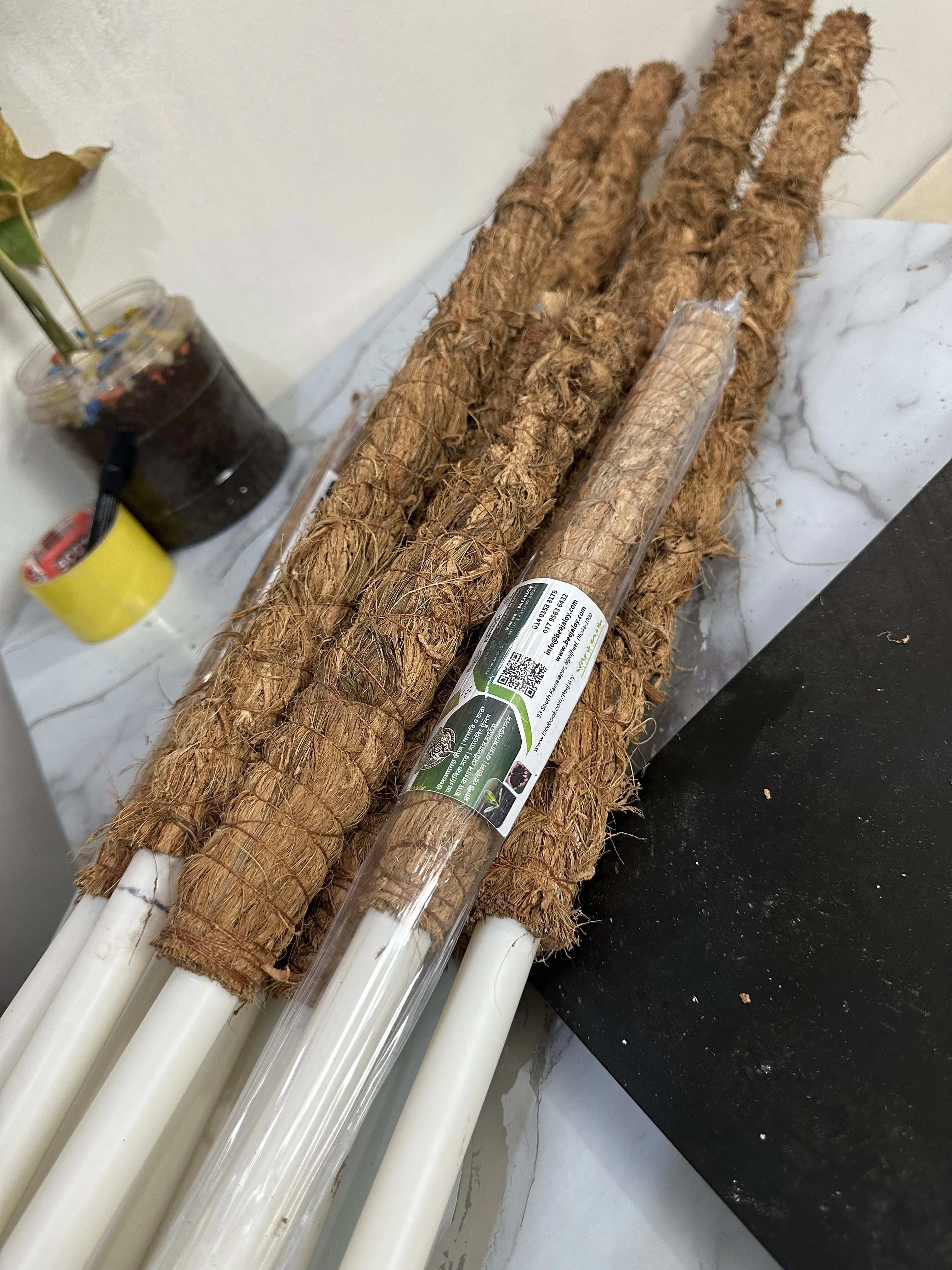 Coco Pole - কোকো পোল