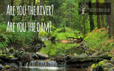 Are you the River or the Dam?