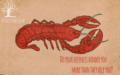 Defences – Are they as good as they seem?