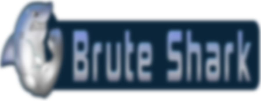 BruteShark - Network Analysis Tool 