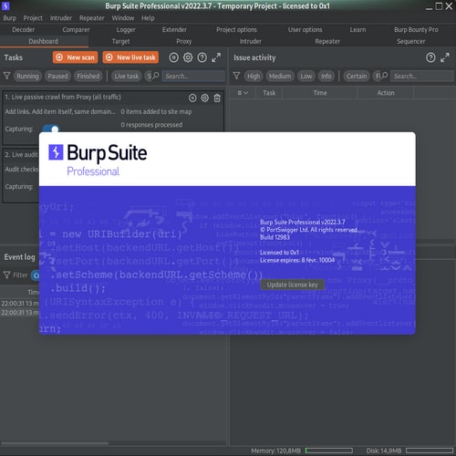 Burp Suite Professional 2023.10.2.3 download