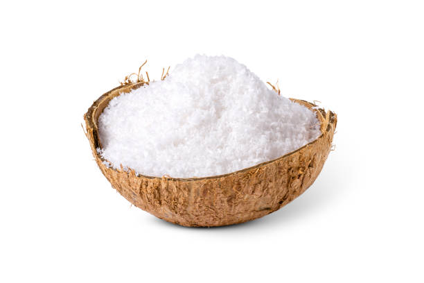 Organic Vegan Coconut Milk Powder 