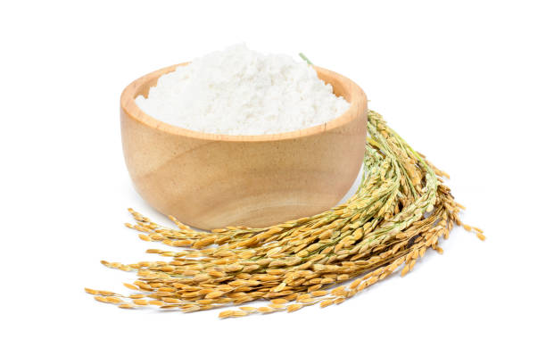 Food Grade Rice Protein