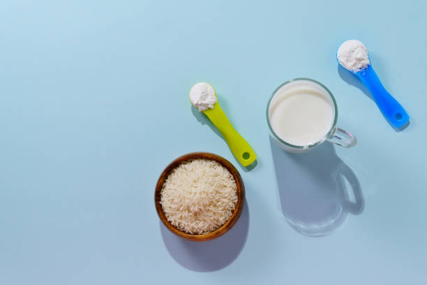 Organic Rice Milk Powder