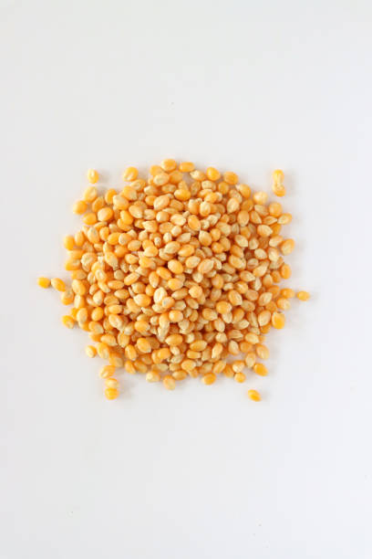 Popping Corn