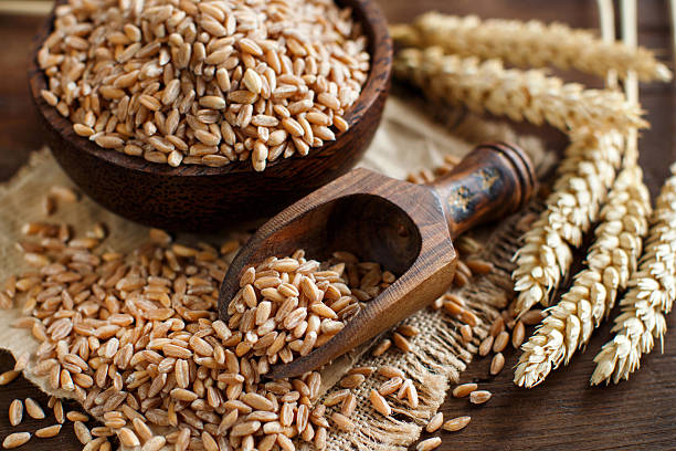 Spelt Grain