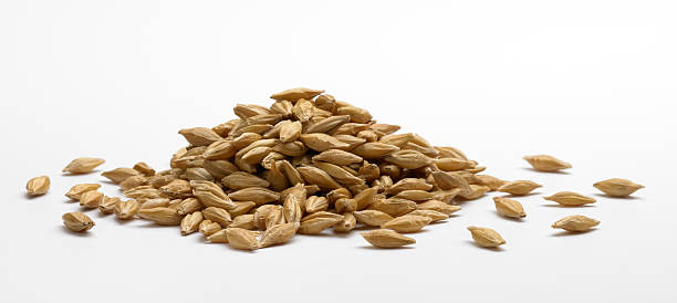 Beta-Glucans - Orafti® β-Fit