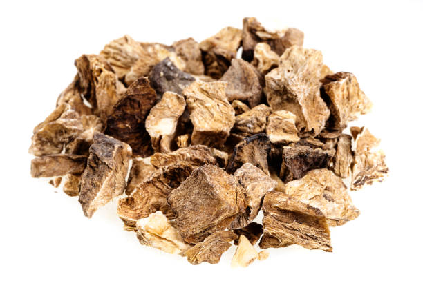Chicory Root Fiber - Fibruline™ & Fibrulose™