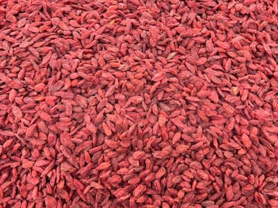 Dried Goji Berries (Wolfberry)