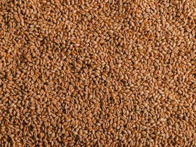 Chia Seeds
