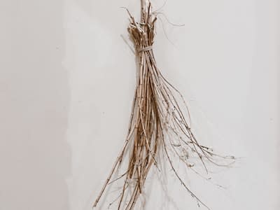 Licorice Root (Gan Cao)