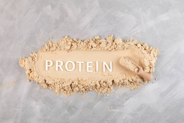 Nutrilac® PB Milk Protein Concentrate