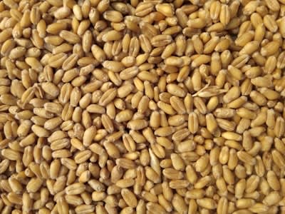 Blanched Almonds