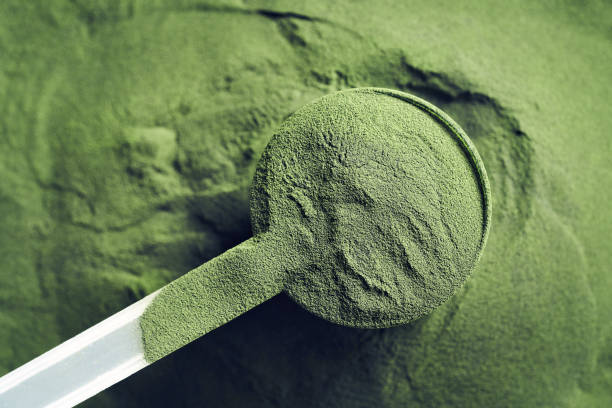 Chlorella Algae Protein Powder