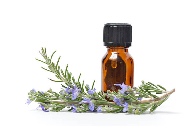 Natural Rosemary Flavor Extract