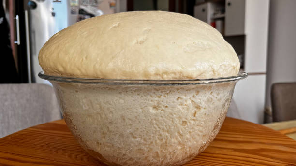 Protease (Dough Relaxant)