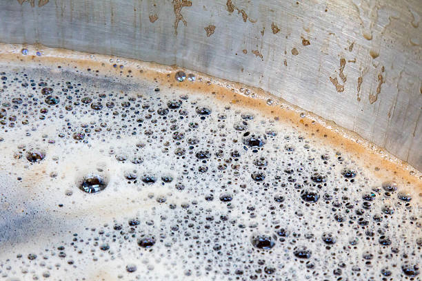 Amyloglucosidase (Beer Attenuation)