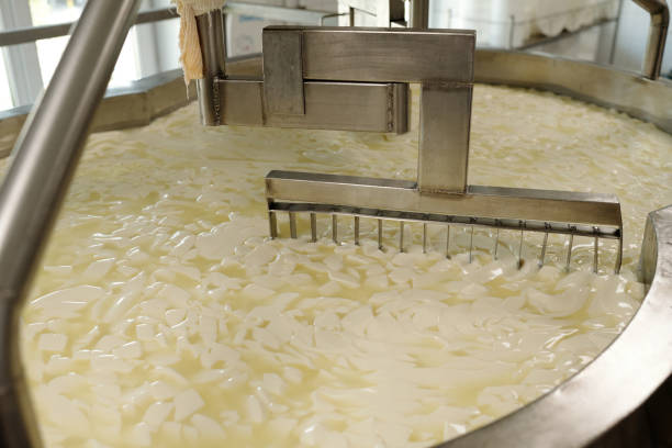 Chymosin (Fermentation-Produced Rennet)