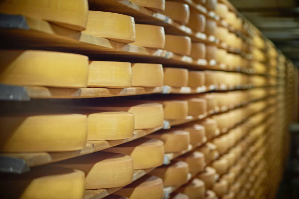 Phospholipase (Cheese Yield Enhancer)