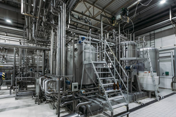 Pullulanase (Fermentability Enhancer)
