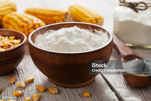 NOVELOSE® 3490 Dietary Fiber