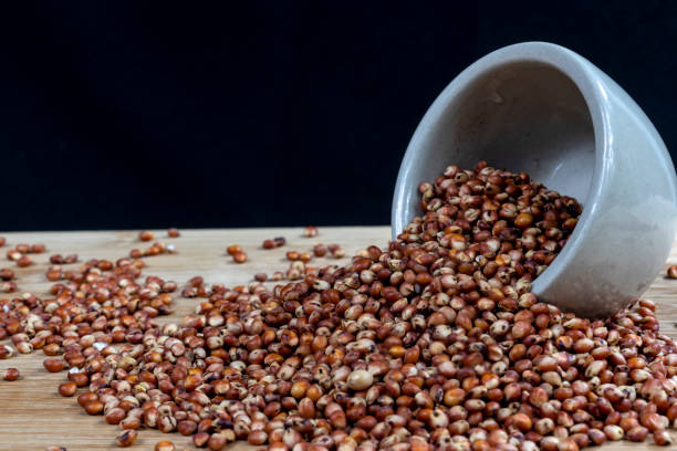 Red Sorghum Grain