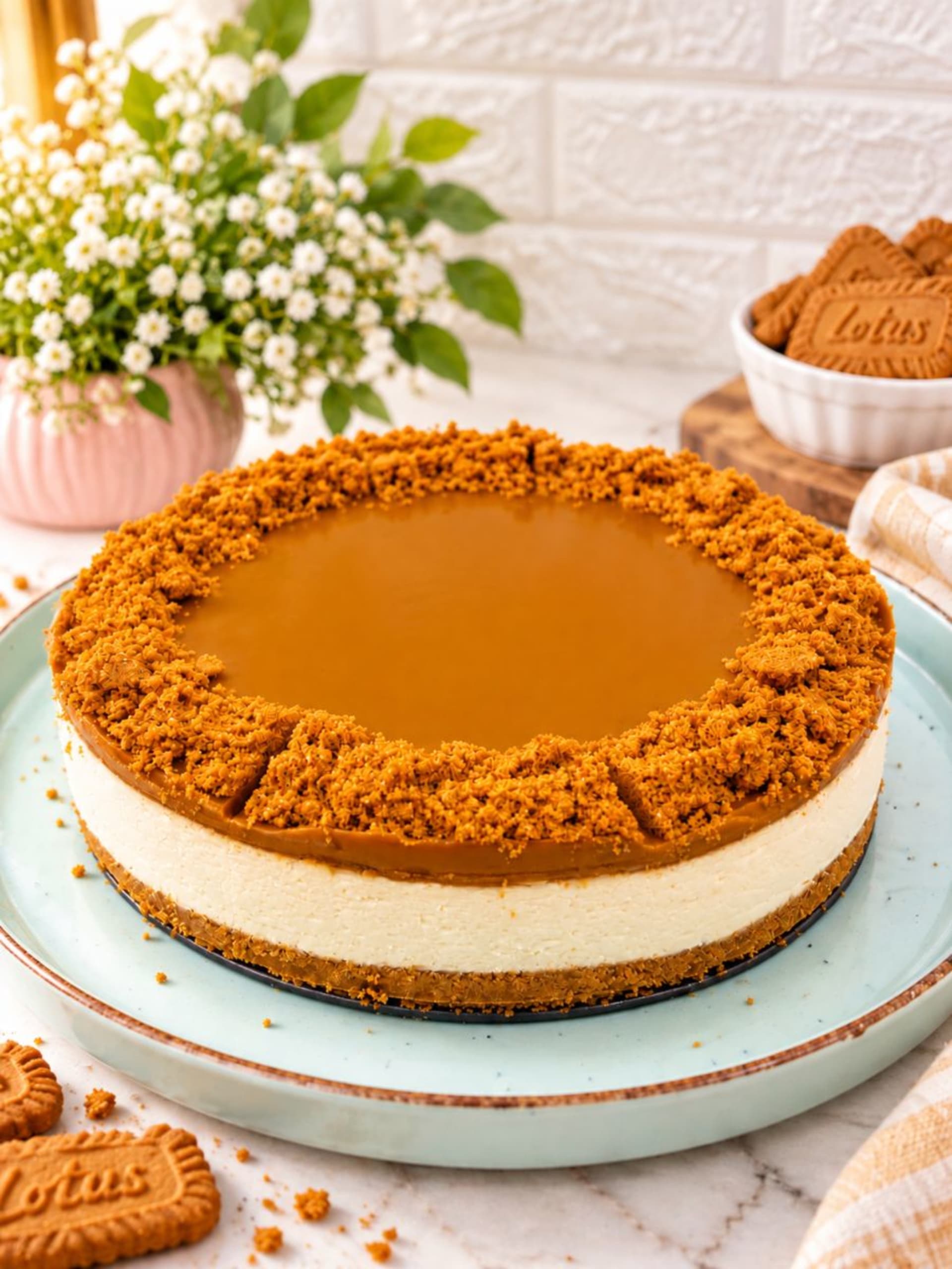 Biscoff Cheesecake