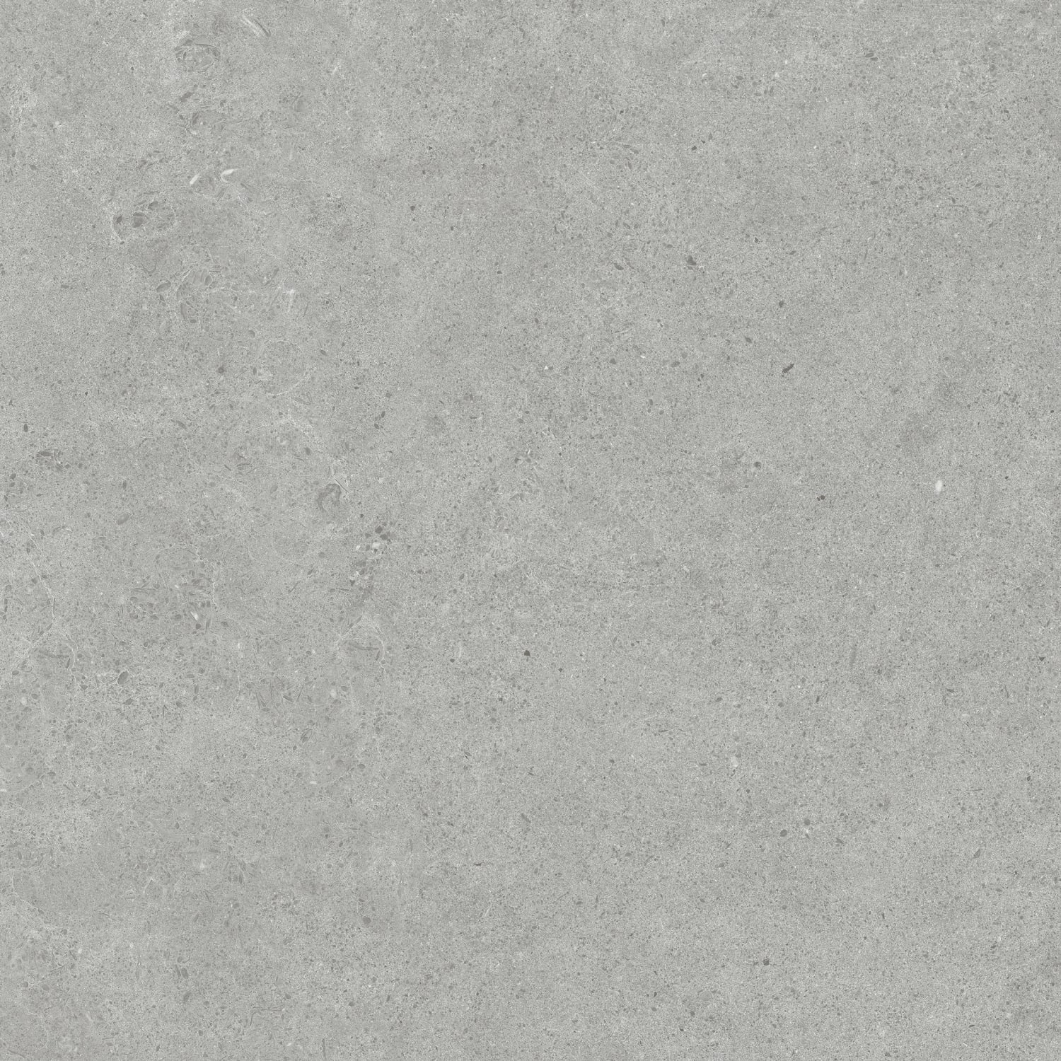 Atrio Grey 60X60 Flis