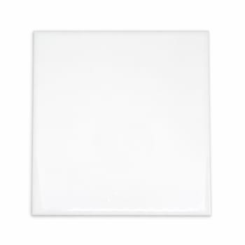 Color One, White Matt 30x60 Flis