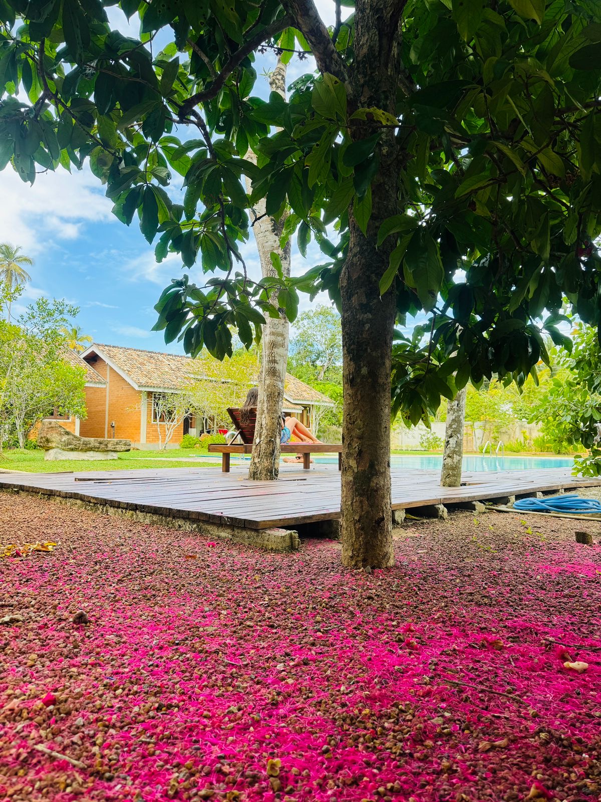 Eco Lux Villas Estate 4