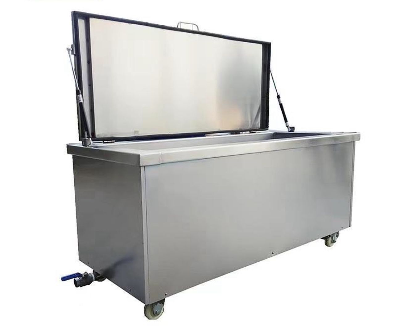 Ultrasonic cleaner