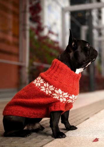 Digital oppskrift: Oriongenser til hund