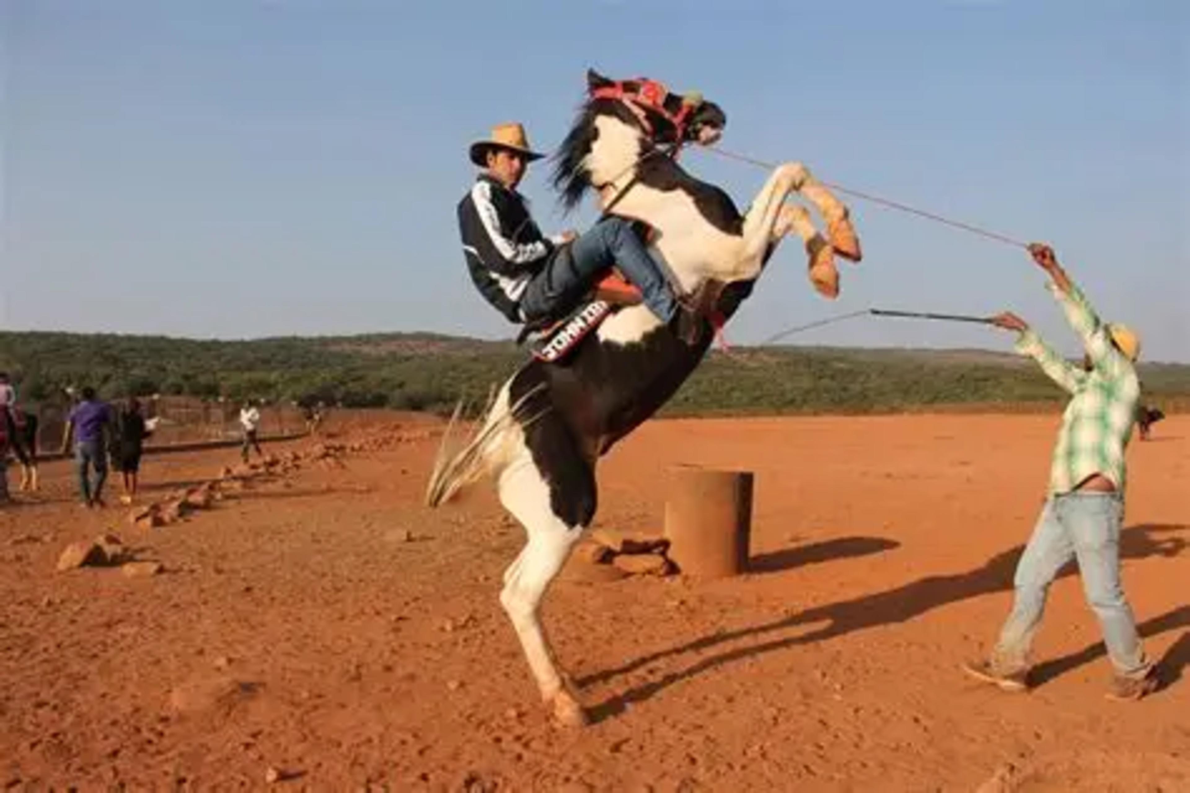 Horse Riding in Mahabaleshwar: The Honest, Human, Wonderful Story of It travel guide cover in Mahabaleshwar