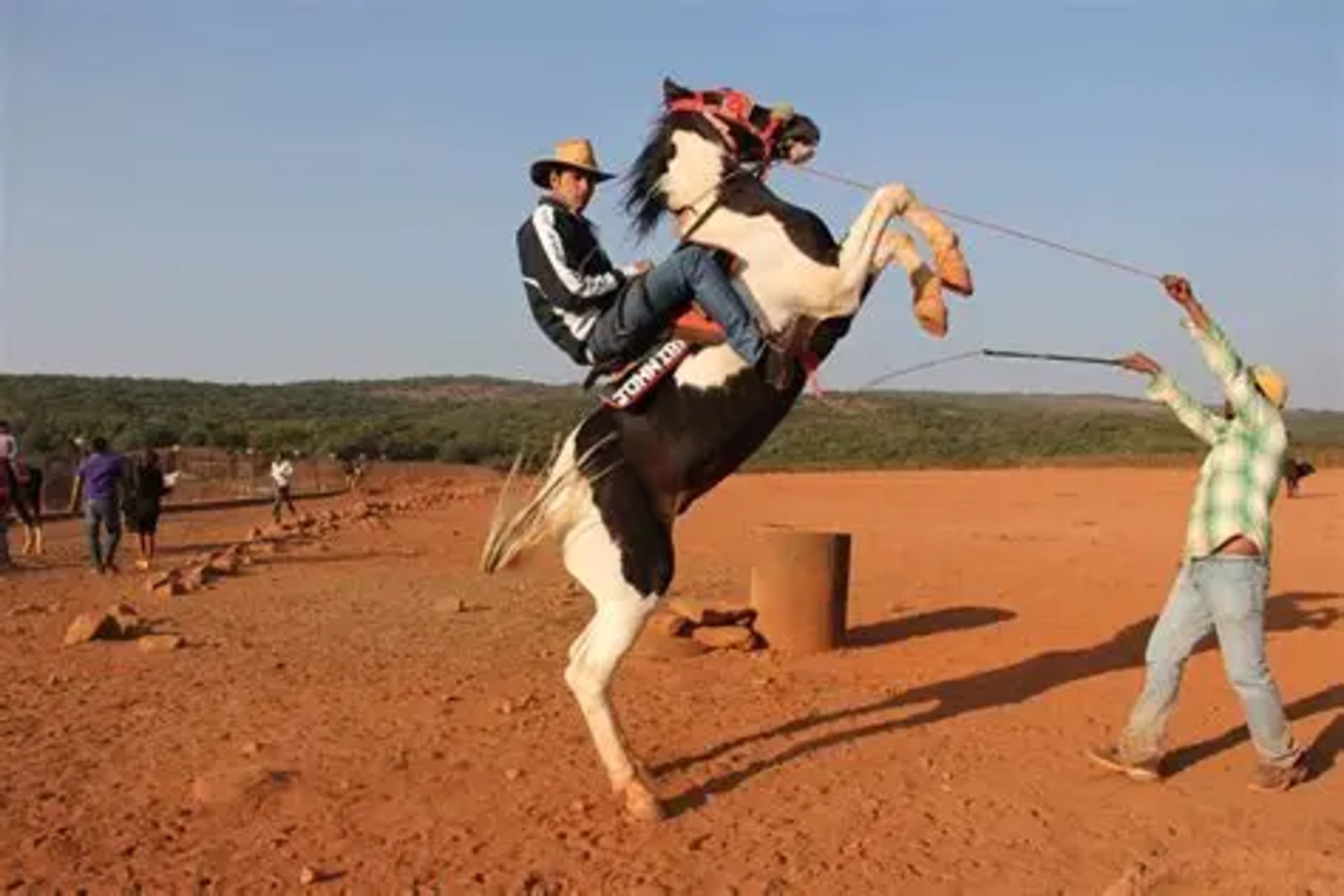 Horse Riding in Mahabaleshwar: The Honest, Human, Wonderful Story of It blog hero image in Mahabaleshwar