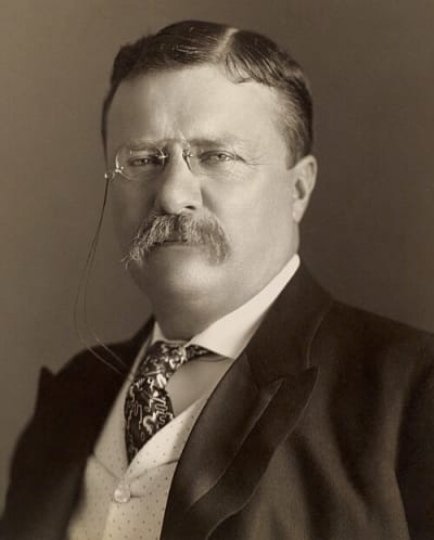 Theodore Roosevelt