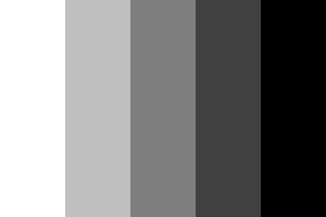 black and white website design examples