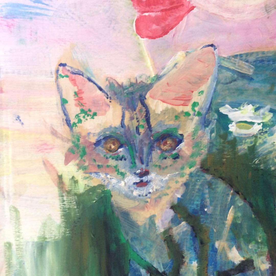 La gata Piura (zoom)