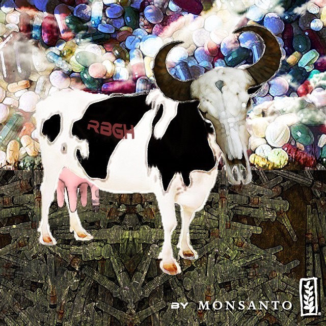 Sticker / Hormona bovina / Monsanto