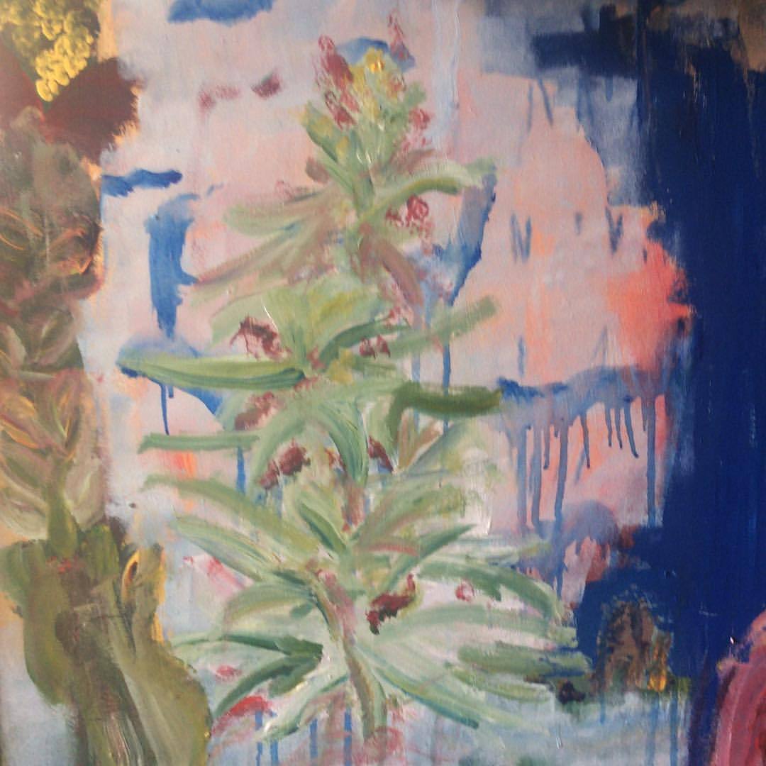 La plantica de Jah por Fêde Deus