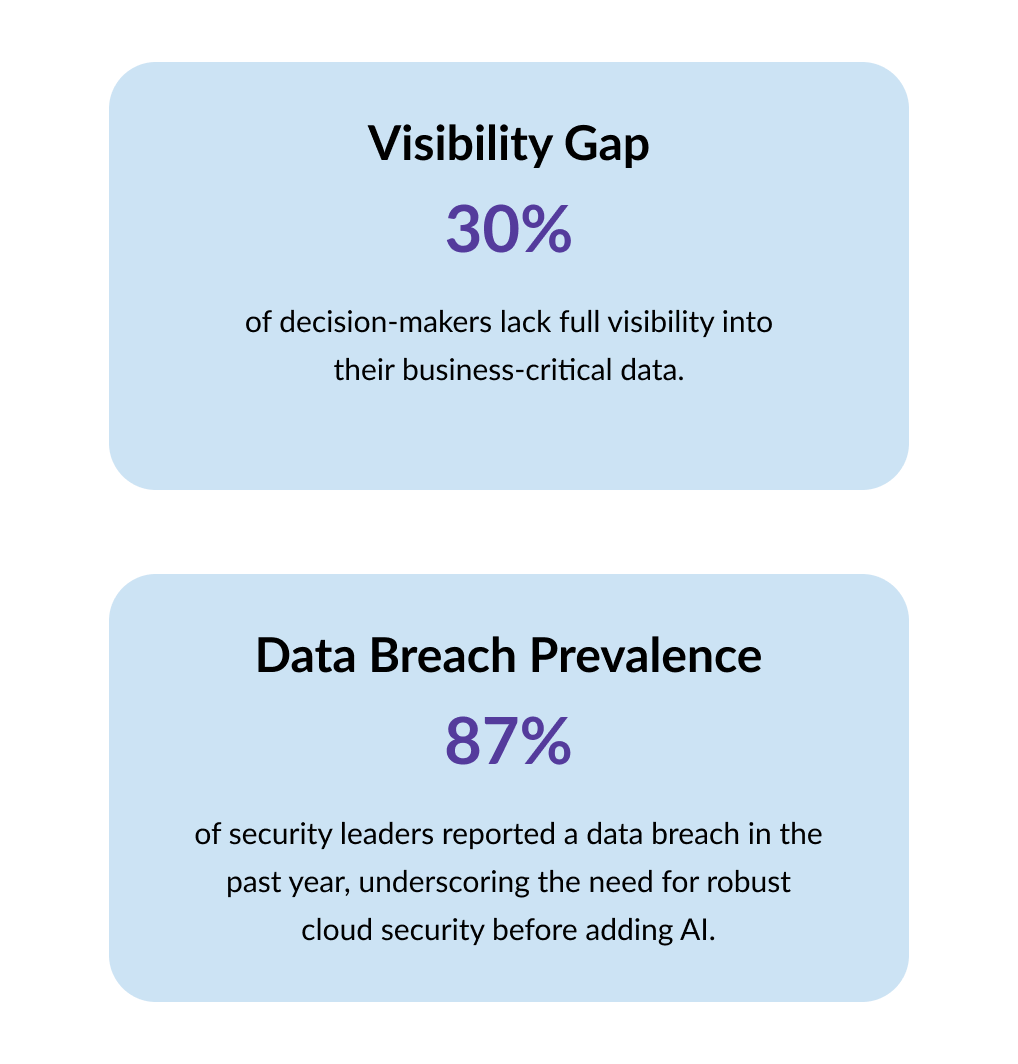 Two statistics on data risks: 30% of decision-makers lack visibility into business-critical data (Visibility Gap) and 87% of security leaders reported a data breach in the past year (Data Breach Prevalence).