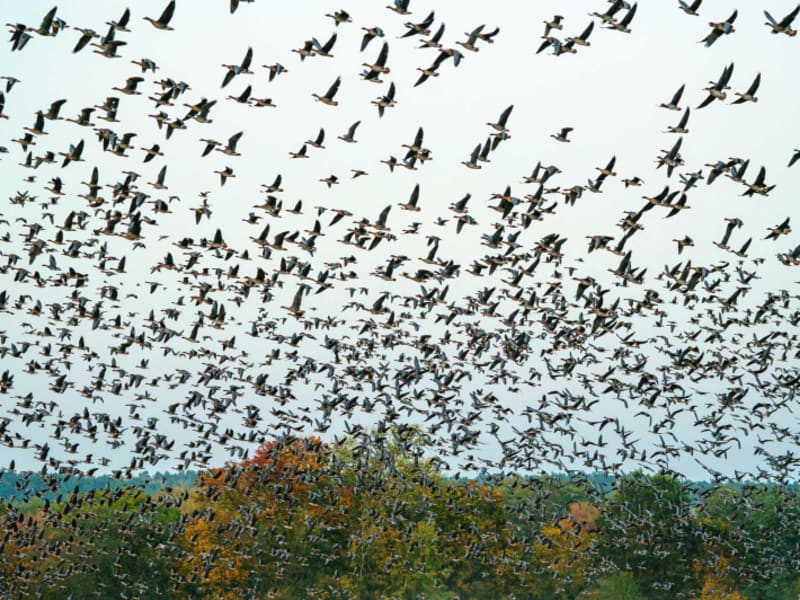 Migrate the Unmigratable