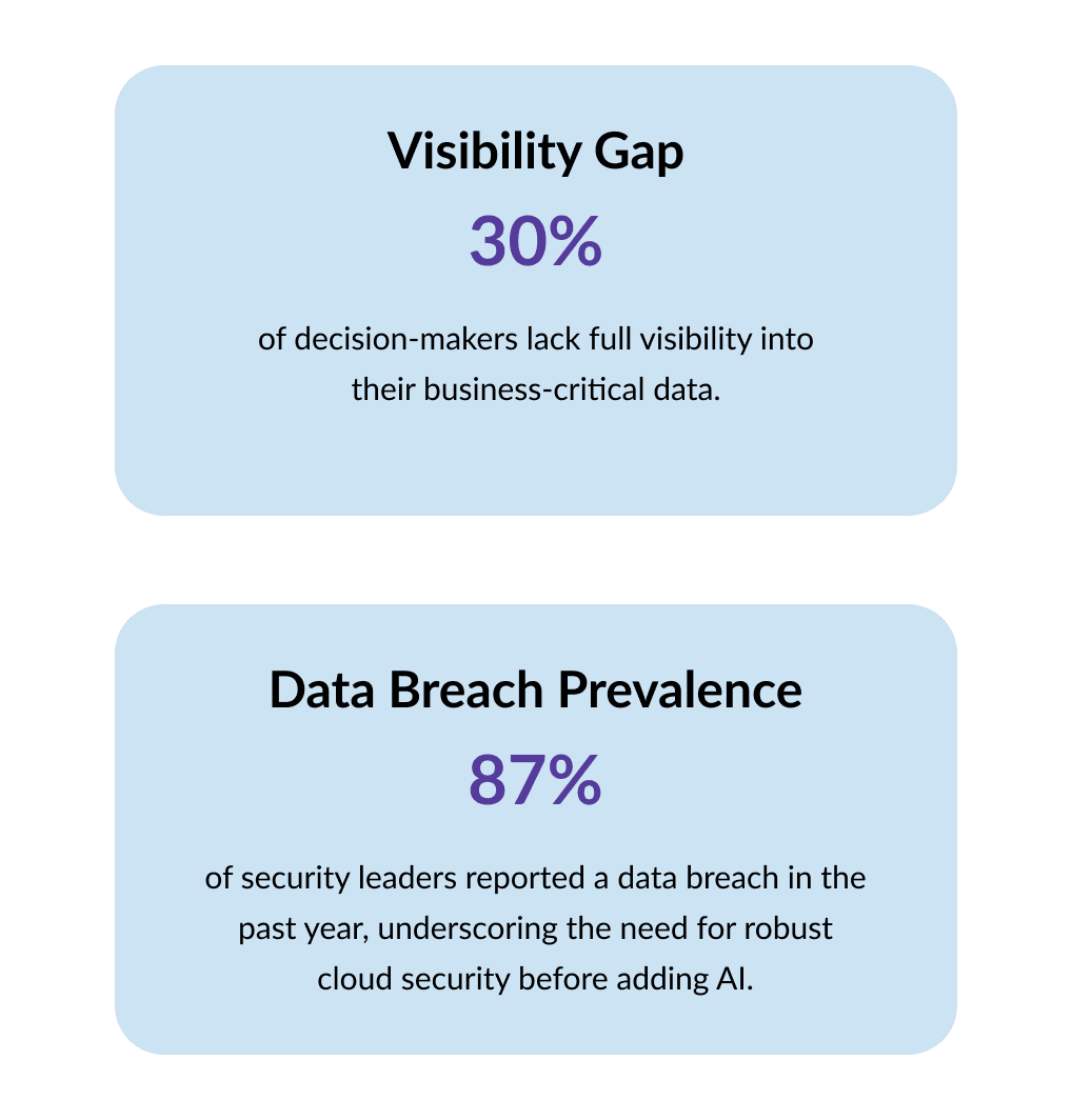 Two statistics on data risks: 30% of decision-makers lack visibility into business-critical data (Visibility Gap) and 87% of security leaders reported a data breach in the past year (Data Breach Prevalence).