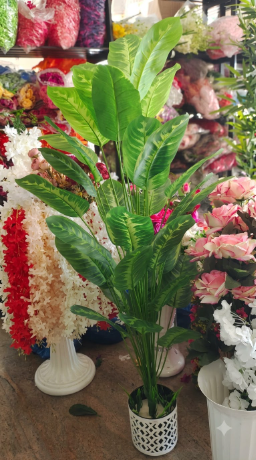 Artificial Dieffenbachia Plant – Large
