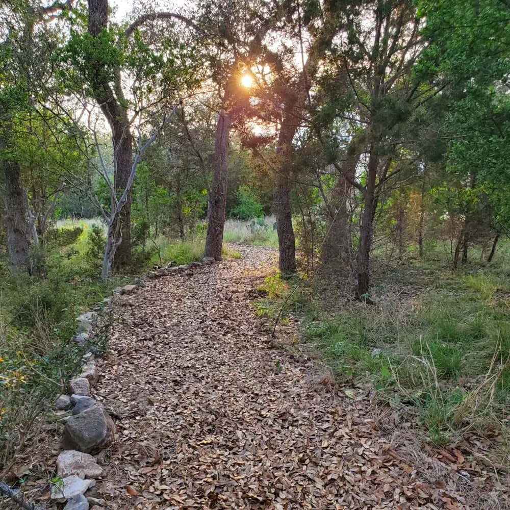 The Beatitudes Prayer Walk winding through native trees at sunset